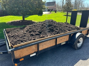 Annual Mulch Giveaway